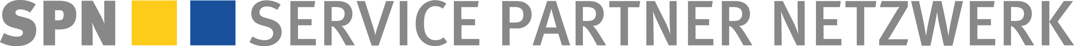 SPN Service Partner Netzwerk